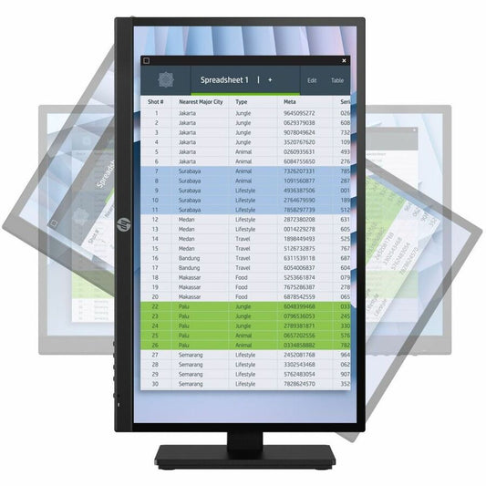 HPI SOURCING - NEW P22h G4 22" Class Full HD LCD Monitor - 16:9 - Black